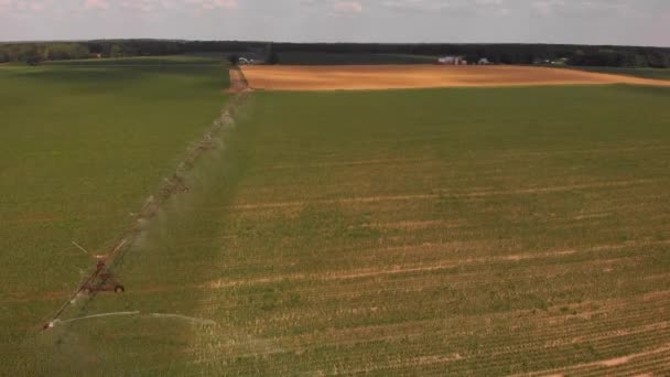 Авіаційний Вид Сільськогосподарського Спринклера Кукурудзяному Полі Американське Господарство — стокове відео