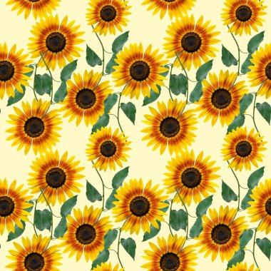 Arka plan için ayçiçekleri olan kusursuz çiçek tasarımı, sonsuz desen.