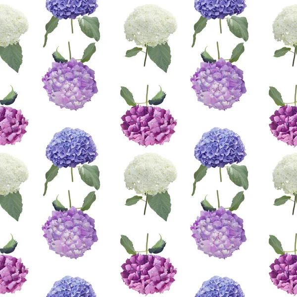 Diseño Floral Sin Costuras Con Flores Hortensias Para Fondo Patrón — Foto de Stock