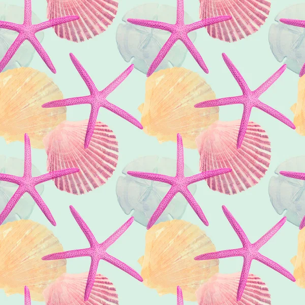 Seamless  design with Sea Shells and Sea Stars for background, Endless pattern.