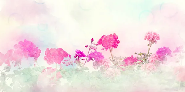 Spring Floral Composition Made Colorful Flowers Light Pastel Background Geranium — Stock Photo, Image