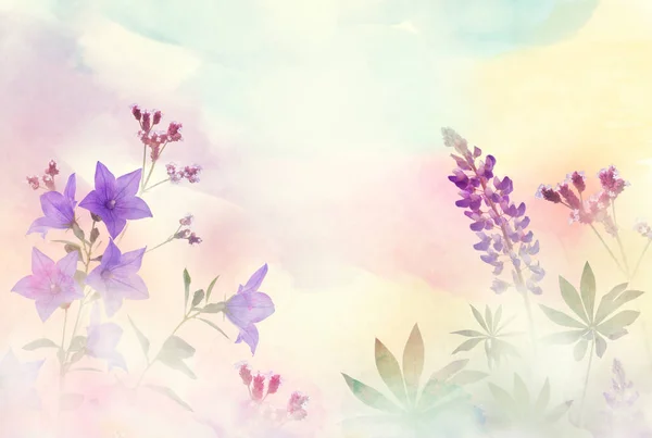 Våren Blommig Komposition Med Rgglada Blommor Ljus Pastell Bakgrund Mjuk — Stockfoto