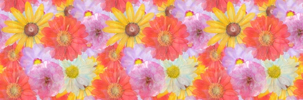 Zökkenőmentes Virágos Design Színes Virágok Háttérben Végtelen Minta Akvarell Illusztráció — Stock Fotó
