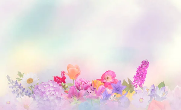 Colorful Flowers Background Soft Focus — Stock Photo, Image