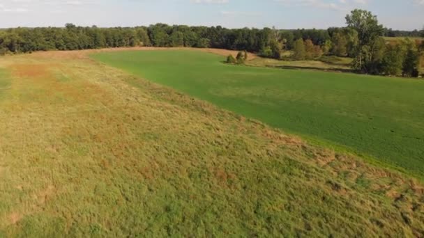 Praterie Alberi Paesaggio Campagna Aerea Alla Fine Dell Estate — Video Stock