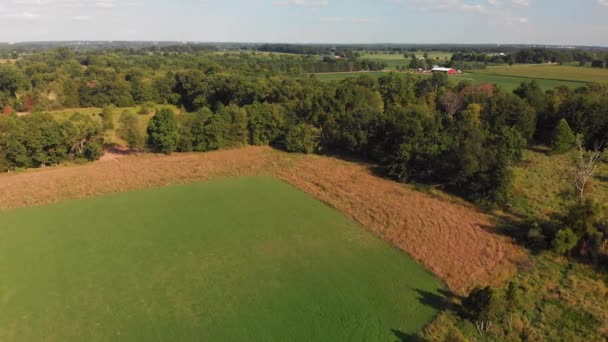 Praterie Alberi Paesaggio Campagna Aerea Alla Fine Dell Estate — Video Stock