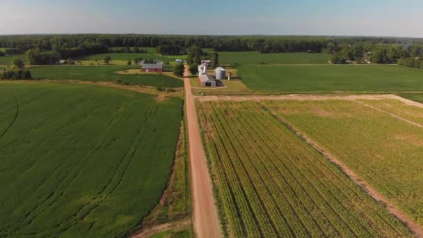 Vista Aérea Campos Milho Uma Estrada Terra Verão Paisagem País — Vídeo de Stock