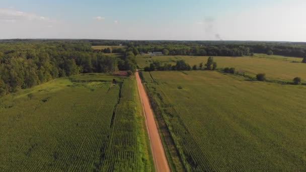 Aerial View Beautiful Farm Fields Dirt Road — Stock Video