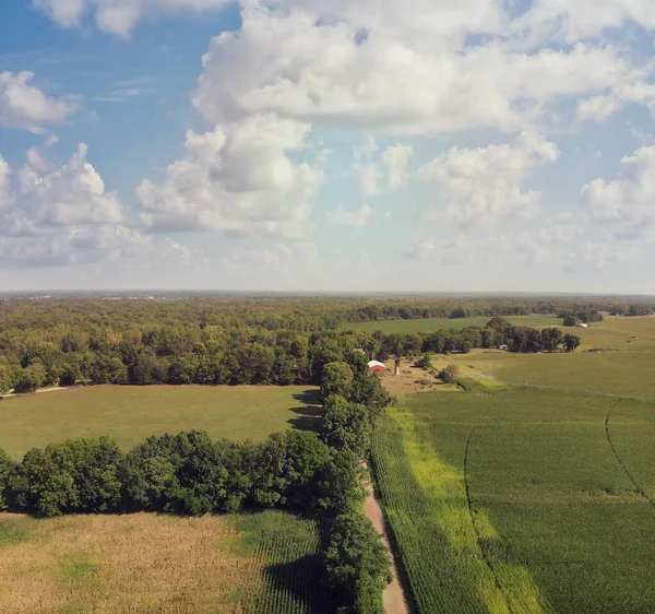 Land Mit Feldern Und Einem Feldweg Luftbild Sommerliche Landschaft — Stockfoto