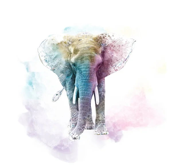 Υδατογραφία Ελέφαντα Ψηφιακή Απεικόνιση Λευκό Φόντο — Φωτογραφία Αρχείου