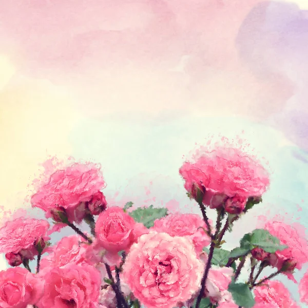 Рожеві Троянди Акварельні Ілюстрації Цифровий Живопис — стокове фото