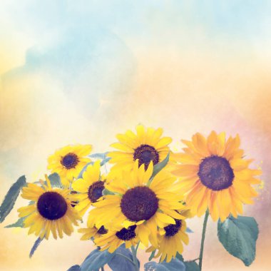 Suluboya dijital ayçiçeği resmi. Dijital illüstrasyon.