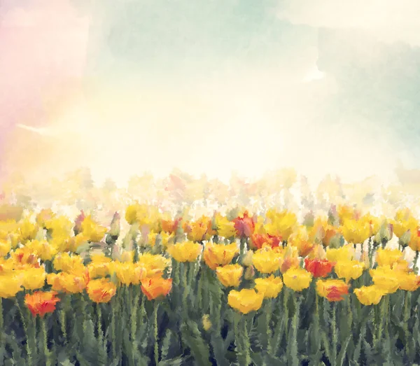 Keltainen Tulppaani Kukkia Vesiväri Digitaalinen Kuva — kuvapankkivalokuva