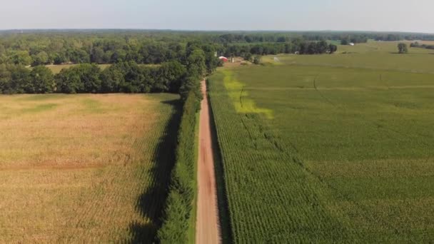 Αεροφωτογραφία Των Όμορφων Αγροκτημάτων Και Χωματόδρομος — Αρχείο Βίντεο