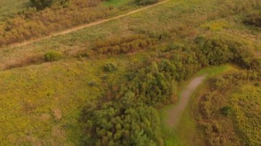 Sonbahar çayırlarının ve ağaçların havadan görünüşü. Kırsal alan.
