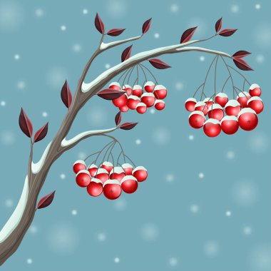 Kış şube ile kırmızı dut, kar, kar yağışı, mavi arka plan ile kaplı. Doğa için vektör çizim tasarım, kış veya Noel ile ilgili
