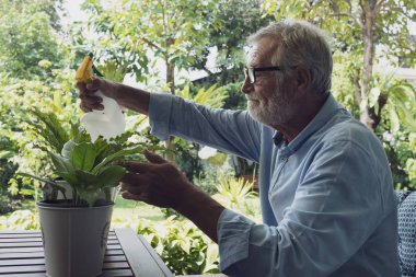 üst düzey adam mutluluk bahçeye yakın balkonda çiçek dikkat çekmek 