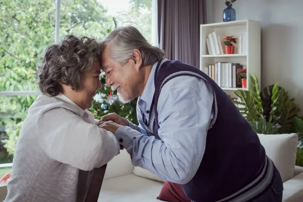 快乐的一对老夫妇老年男女拥抱和触摸额头 快乐的一起在家里笑 退休和医疗保健生活方式以及恋人关系的概念 — 图库照片