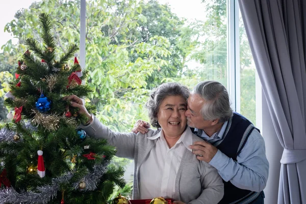 一对老年男女在为圣诞节假期装饰的客厅里高兴地微笑着 帮他们准备 送礼或装饰圣诞树 — 图库照片
