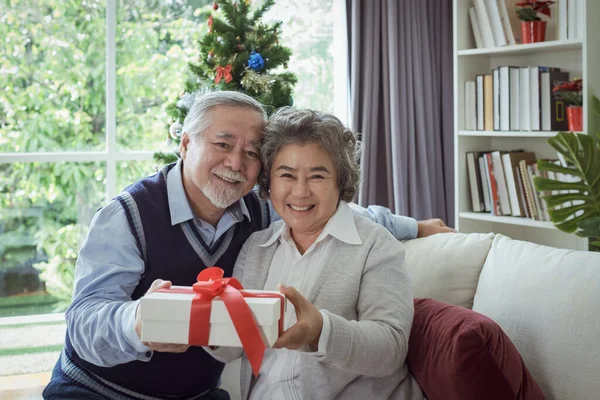 幸せなカップル高齢者の男性と女性が大きなギフトボックスを持っています 自宅で一緒に笑顔で幸せ 退職と医療ライフスタイルと恋人の概念 ストック画像