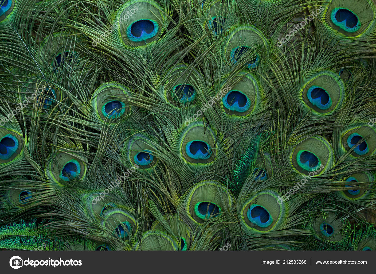 table feathers