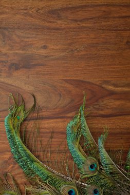 Tablo arka plan üzerinde tavus kuşu tüyü