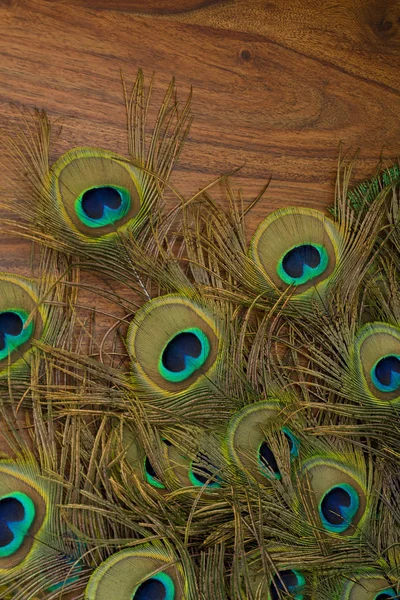 peacock feathers on a table background