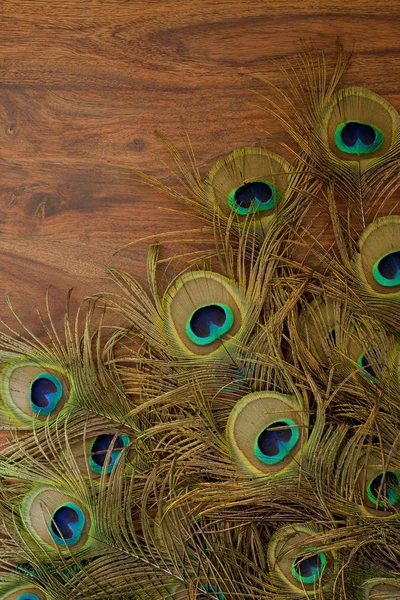 peacock feathers on a table background