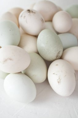 birden çok renk yumurta sürü