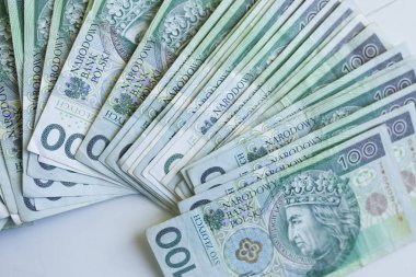 Polonya para birimi para Zlotisi bir sürü