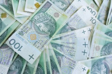 Polonya para birimi para Zlotisi bir sürü