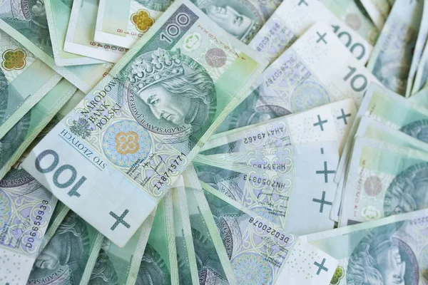 Beaucoup Monnaie Polonaise Zloty Argent — Photo