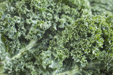 sağlıklı ham yeşil lahana