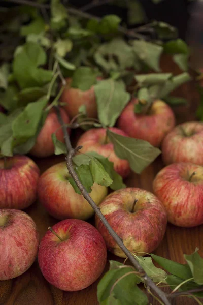 Red organic  apples with leaves