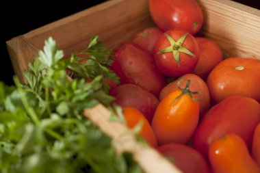 renkli organik domates karışımı