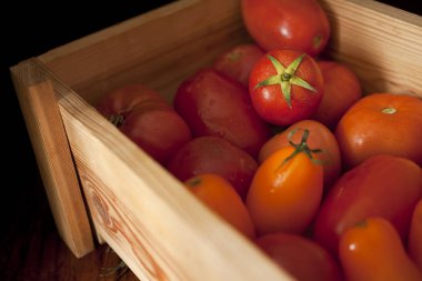 renkli organik domates karışımı