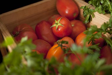 renkli organik domates karışımı