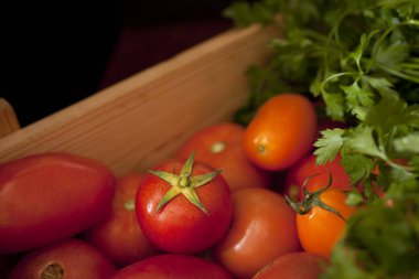 renkli organik domates karışımı