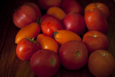 renkli organik domates karışımı