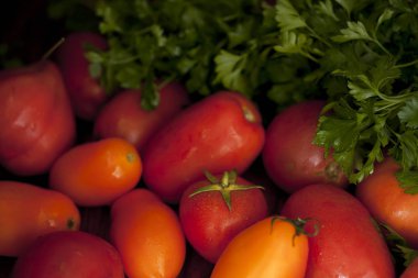 renkli organik domates karışımı