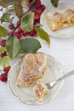 elmalı turta - organik elma ve bir parça kek