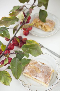 elmalı turta - organik elma ve bir parça kek