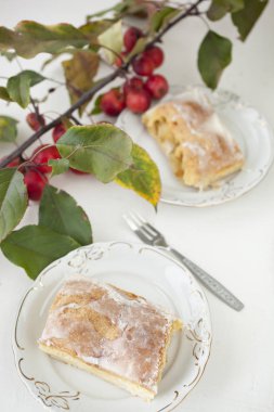 elmalı turta - organik elma ve bir parça kek