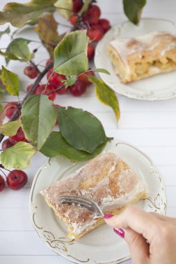 elmalı turta - organik elma ve bir parça kek