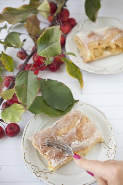 elmalı turta - organik elma ve bir parça kek