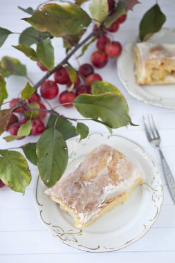 elmalı turta - organik elma ve bir parça kek