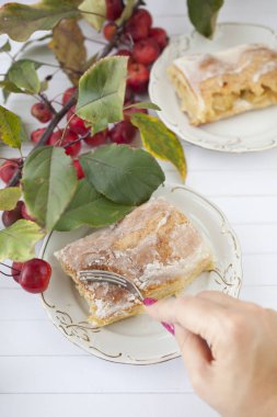 elmalı turta - organik elma ve bir parça kek