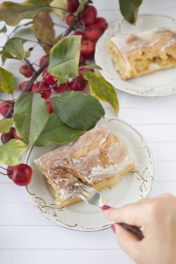 elmalı turta - organik elma ve bir parça kek