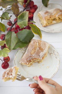 elmalı turta - organik elma ve bir parça kek