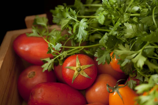 renkli organik domates karışımı